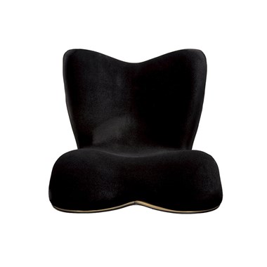 Style PREMIUM DX 姿優墊 YSAM03A