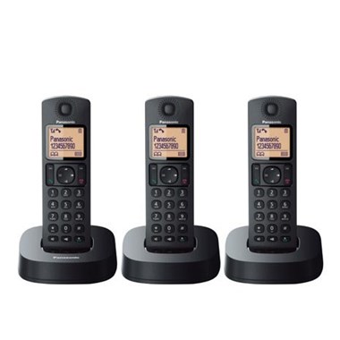 Panasonic DECT數碼室內無線電話 KX-TGC313UEB